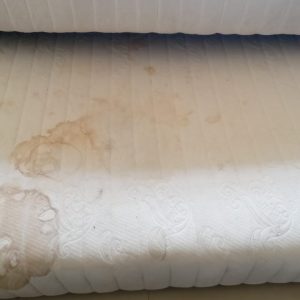 WhatsApp Image 2021-06-07 at 3.19.16 PM (1)