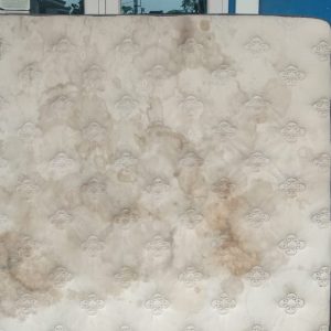 WhatsApp Image 2021-06-15 at 12.23.00 PM